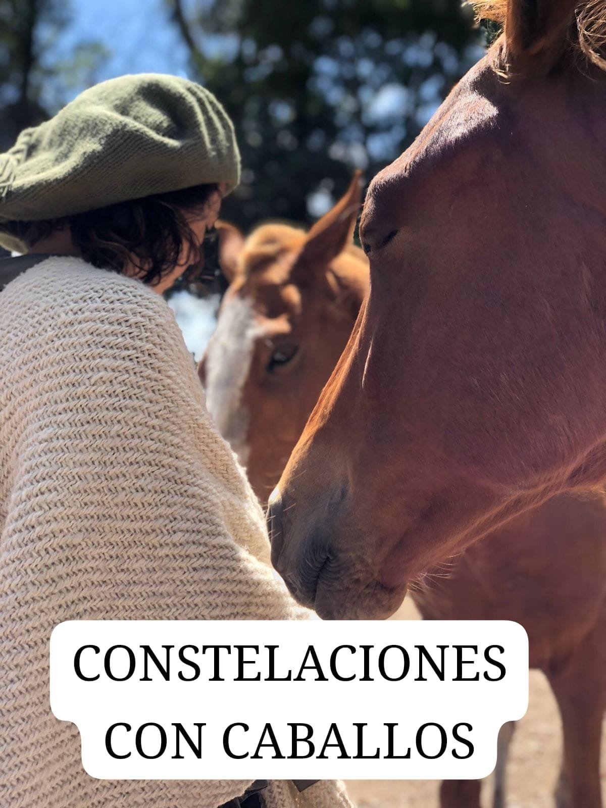 Constelaciones