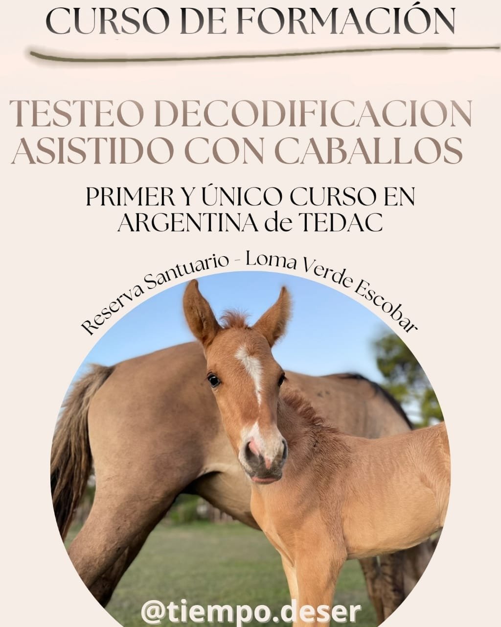 Sanando con caballos